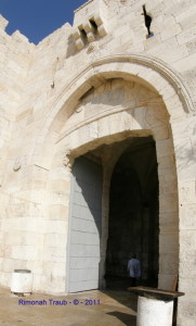 Jerusalem_-_Gates_-_Panorama_28