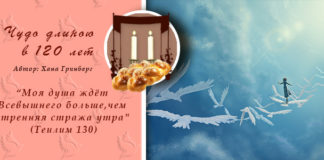 голова - начало года