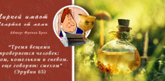 сосуды