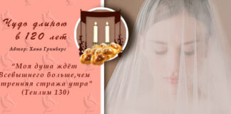 предложение